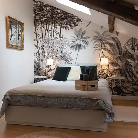 Maison Dans Le Centre Historique Pour 6 Personnes Avec Terrasse Et Parking Pau Exterior foto